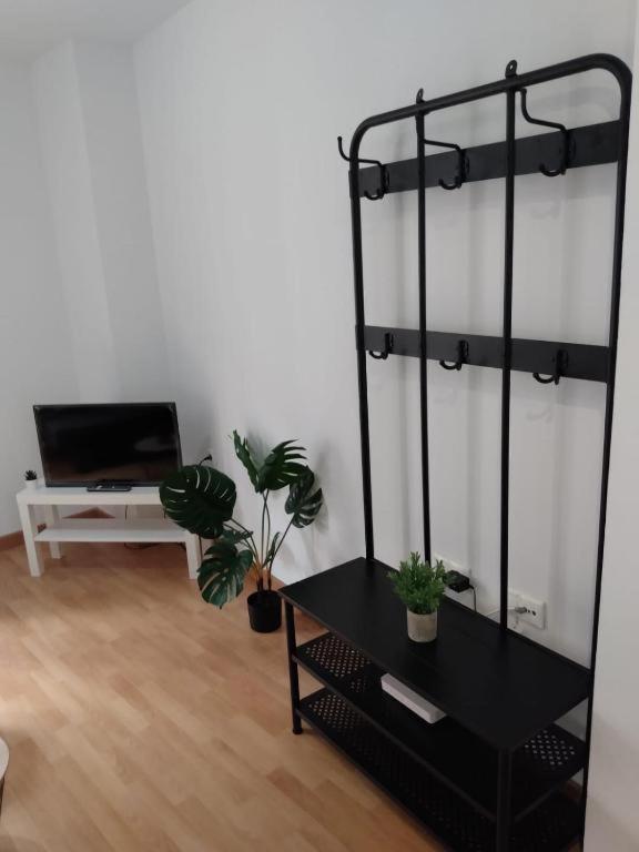 Cdz - San Telmo, Apartamentos Con Terraza Cádiz Eksteriør billede