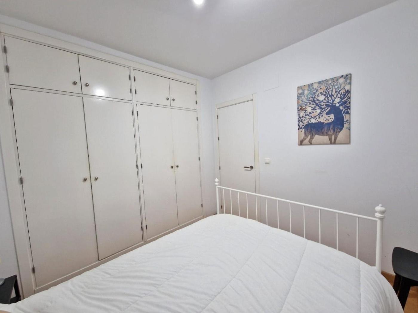 Cdz - San Telmo, Apartamentos Con Terraza Cádiz Eksteriør billede